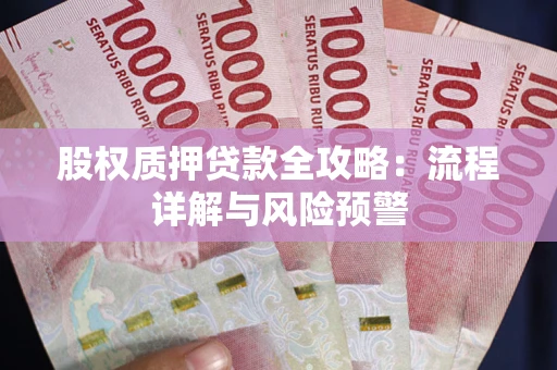 北京股权质押贷款全攻略：流程详解与风险预警