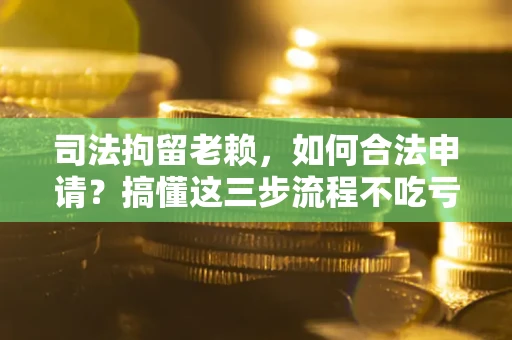 北京司法拘留老赖，如何合法申请？搞懂这三步流程不吃亏！