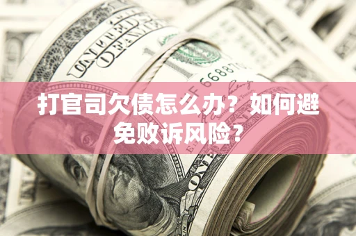 北京打官司欠债怎么办？如何避免败诉风险？