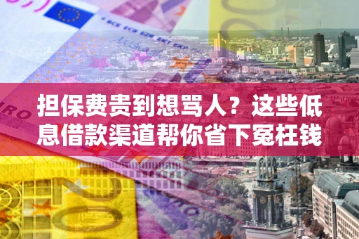 北京担保费贵到想骂人？这些低息借款渠道帮你省下冤枉钱