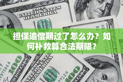 北京担保追偿期过了怎么办？如何补救算合法期限？