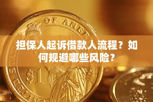 北京担保人起诉借款人流程？如何规避哪些风险？