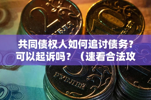 北京共同债权人如何追讨债务？可以起诉吗？（速看合法攻略）