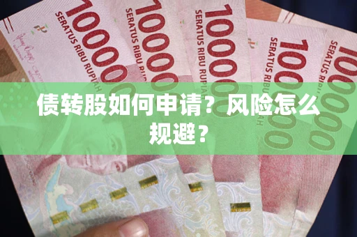北京债转股如何申请？风险怎么规避？
