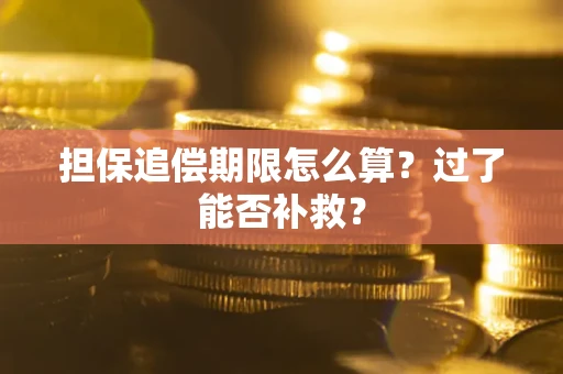 北京担保追偿期限怎么算？过了能否补救？